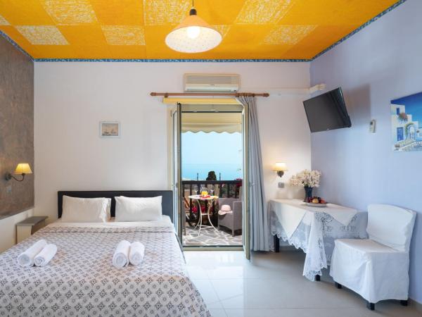 One Private Studio full view : photo 1 de la chambre chambre double