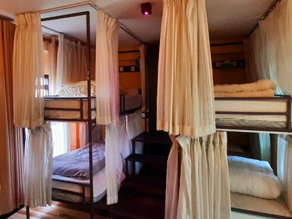 Kiwi Backpackers Hostel Pokhara : photo 2 de la chambre lit dans dortoir mixte de 4 lits
