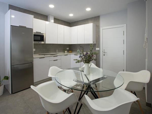 Apartamentos Ribera 19 : photo 10 de la chambre appartement supérieur