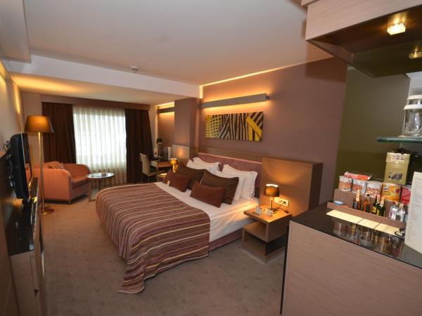 Avantgarde Hotel Levent : photo 5 de la chambre grande chambre double deluxe - accès gratuit au spa