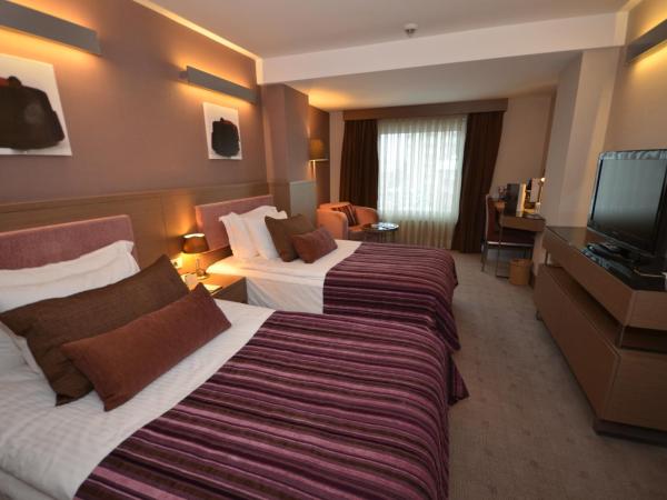 Avantgarde Hotel Levent : photo 6 de la chambre chambre double ou lits jumeaux deluxe - accès gratuit au spa