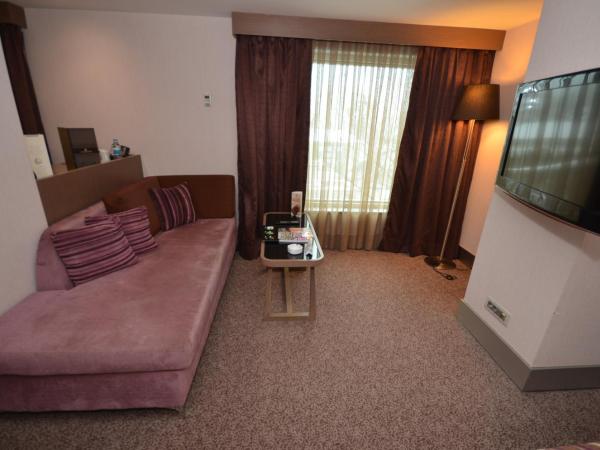 Avantgarde Hotel Levent : photo 6 de la chambre grande chambre double deluxe - accès gratuit au spa