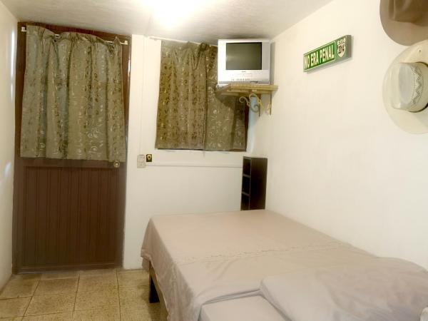 The Roof Backpackers : photo 3 de la chambre chambre double avec salle de bains commune