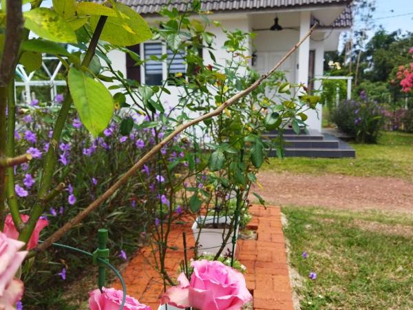 Tehel Farmhouse : photo 2 de la chambre bungalow 1 chambre