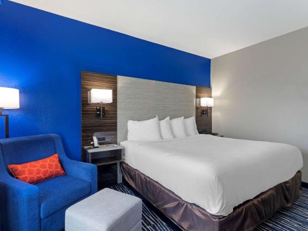 Comfort Inn & Suites : photo 4 de la chambre chambre lit king-size standard - non-fumeurs
