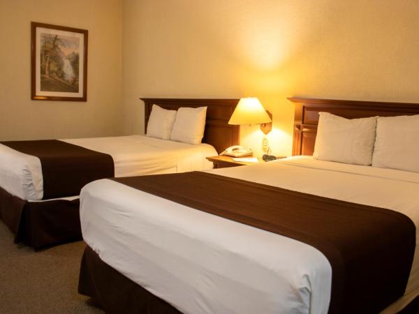 Hotel Santa Irene Guadalajara : photo 5 de la chambre chambre double avec 2 lits doubles