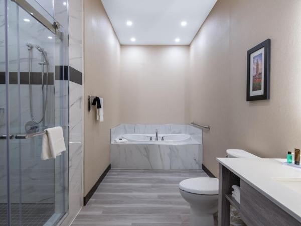 Wingate by Wyndham Kanata West Ottawa : photo 7 de la chambre chambre lit king-size - non-fumeurs