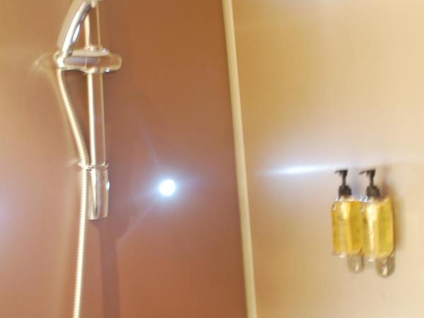 The Salisbury Hotel : photo 10 de la chambre chambre double supérieure