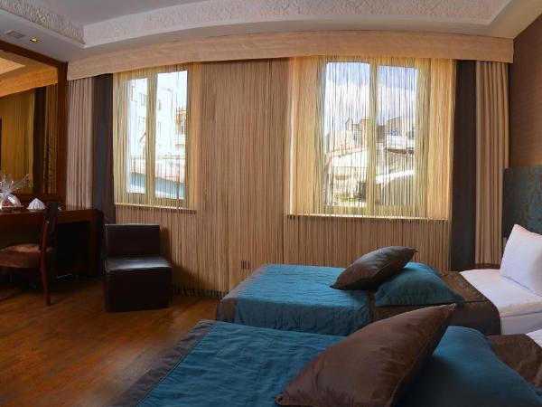 Pera Tulip Hotel & Spa - Taksim Pera City Center : photo 7 de la chambre chambre double ou lits jumeaux supérieure