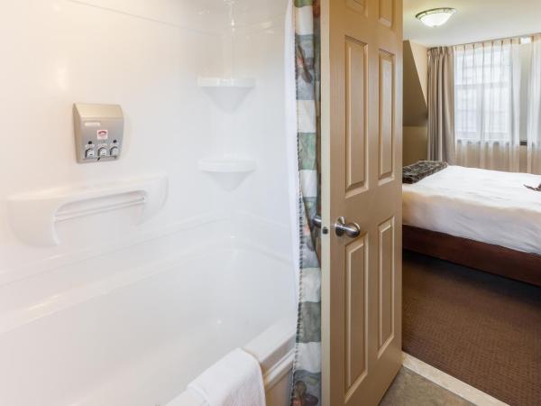 Hotel Chateau Bellevue : photo 7 de la chambre chambre deluxe