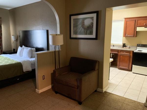 Quality Suites Houston NW Cy-Fair : photo 4 de la chambre suite lit king-size avec coin cuisine - non-fumeurs