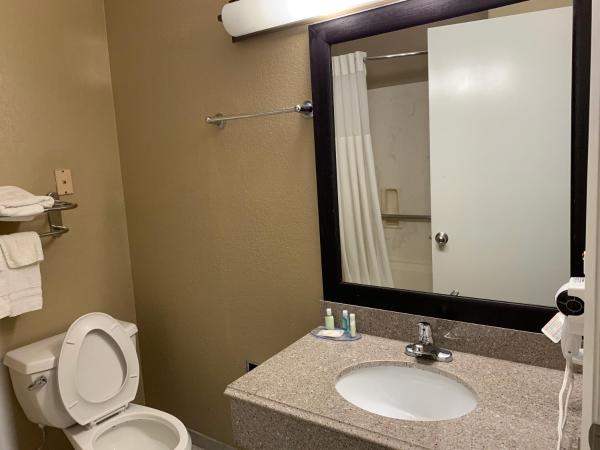 Quality Suites Houston NW Cy-Fair : photo 9 de la chambre suite lit king-size