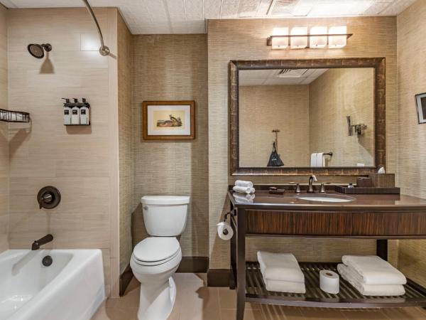 Omni Austin Hotel Downtown : photo 4 de la chambre chambre lit queen-size traditionnelle