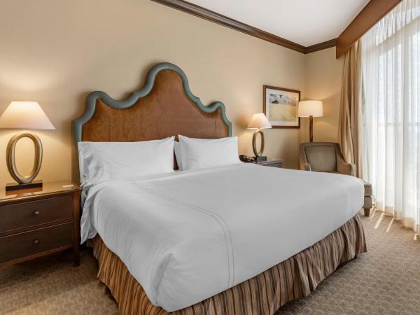 Omni Austin Hotel Downtown : photo 1 de la chambre suite exécutive 1 chambre avec lit king-size