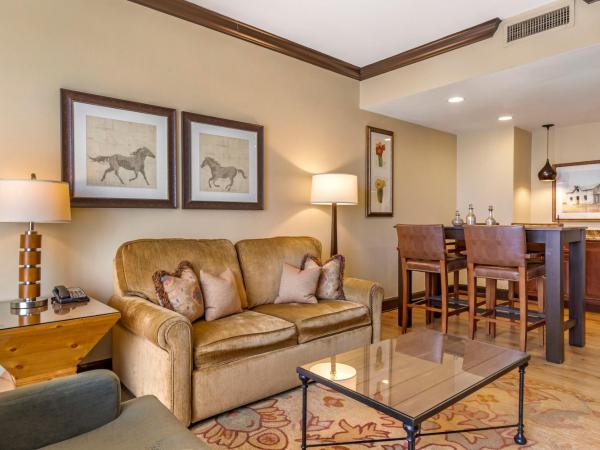 Omni Austin Hotel Downtown : photo 2 de la chambre suite exécutive 1 chambre avec lit king-size