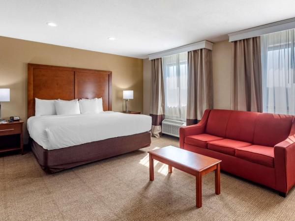 Comfort Inn Nashville West : photo 1 de la chambre chambre lit king-size supérieure - non-fumeurs