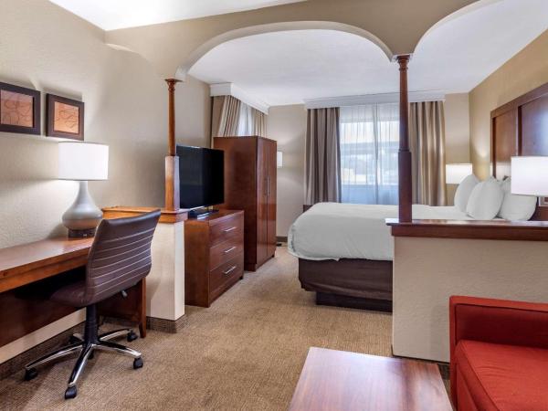 Comfort Inn Nashville West : photo 6 de la chambre suite lit queen-size – non-fumeurs