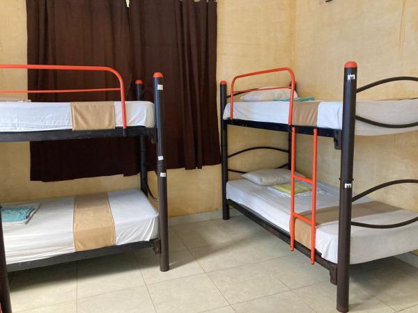 Hostal La Ermita : photo 4 de la chambre lit dans dortoir 6 lits