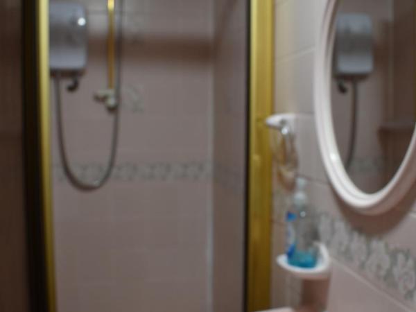 Lyndhurst Hotel : photo 10 de la chambre chambre simple avec salle de bains privative