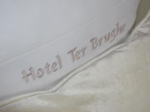 Hotel Ter Brughe by CW Hotel Collection : photo 8 de la chambre hébergement supérieur - vue sur rue ou sur terrasse