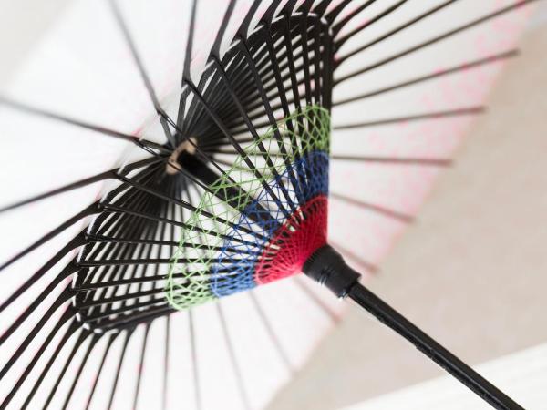 Kyoto Inn Gion The Second : photo 1 de la chambre chambre double standard - non-fumeurs