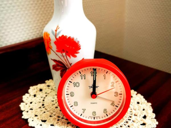 Tante ALMA's Mannheimer Hotel : photo 7 de la chambre chambre simple standard