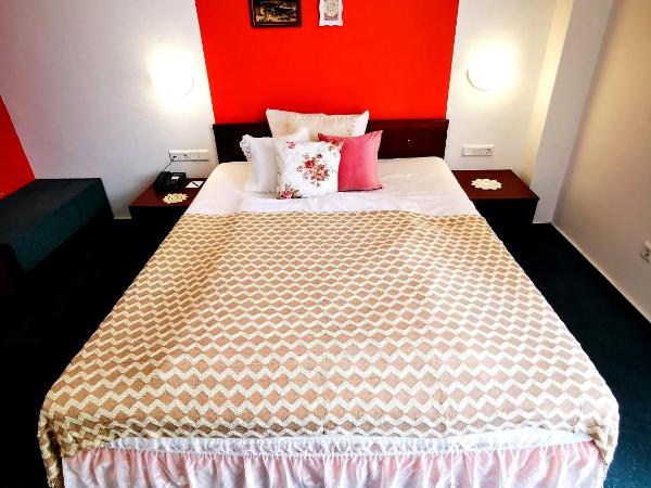 Tante ALMA's Mannheimer Hotel : photo 6 de la chambre chambre double standard