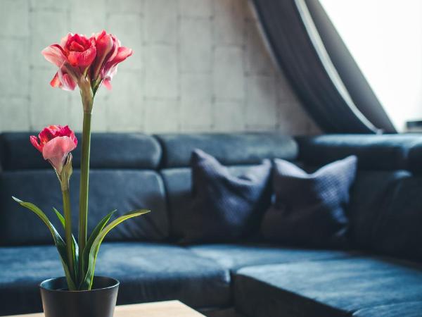 Aparthotel New Lux : photo 4 de la chambre appartement 1 chambre