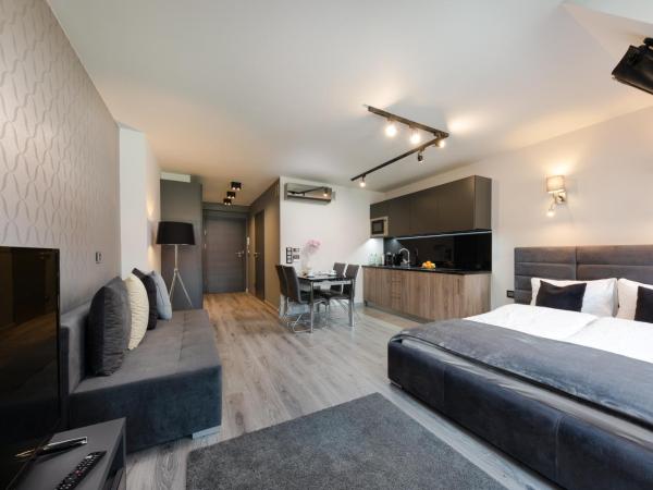 Aparthotel New Lux : photo 7 de la chambre appartement supérieur