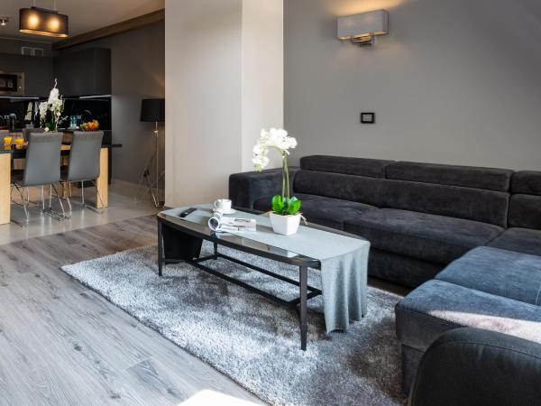 Aparthotel New Lux : photo 6 de la chambre penthouse