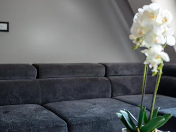 Aparthotel New Lux : photo 7 de la chambre penthouse