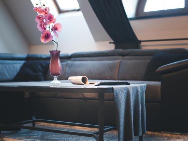 Aparthotel New Lux : photo 5 de la chambre appartement supérieur