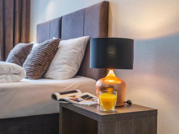 Aparthotel New Lux : photo 9 de la chambre appartement