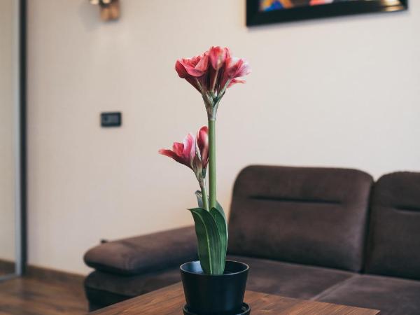 Aparthotel New Lux : photo 9 de la chambre appartement supérieur