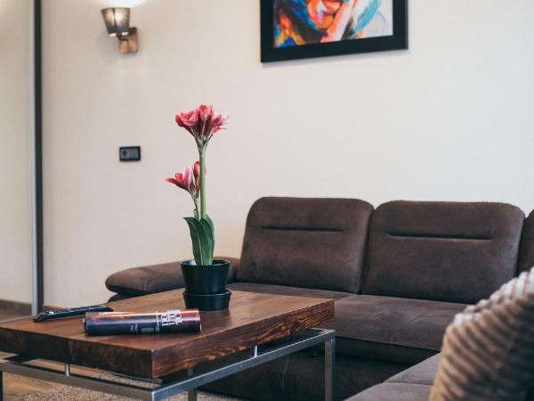 Aparthotel New Lux : photo 7 de la chambre appartement supérieur