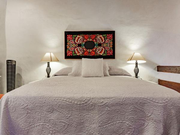 Hotel Casa Pereyra : photo 6 de la chambre suite lit queen-size deluxe