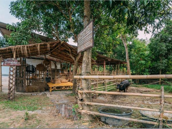 Phuket Nonnita Boutique Resort - SHA Plus : photo 6 de la chambre chambre lits jumeaux deluxe