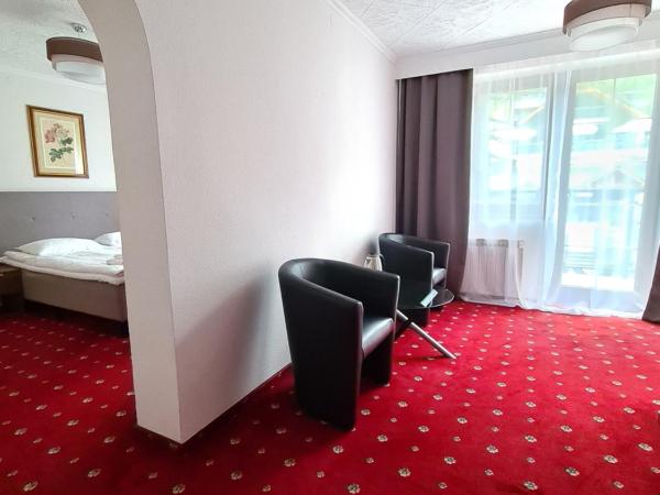 Hotel Kolorowa : photo 5 de la chambre chambre double deluxe avec balcon