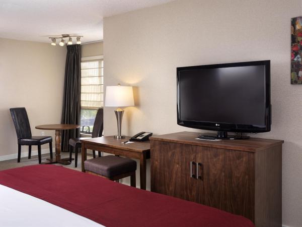 Huntingdon Hotel and Suites : photo 2 de la chambre chambre lit king-size standard avec cuisine