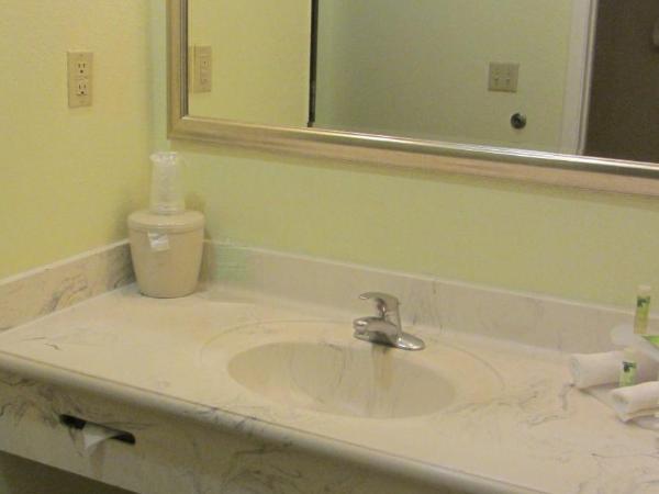 Holiday Inn Express Hotel & Suites Houston North Intercontinental, an IHG Hotel : photo 3 de la chambre chambre standard