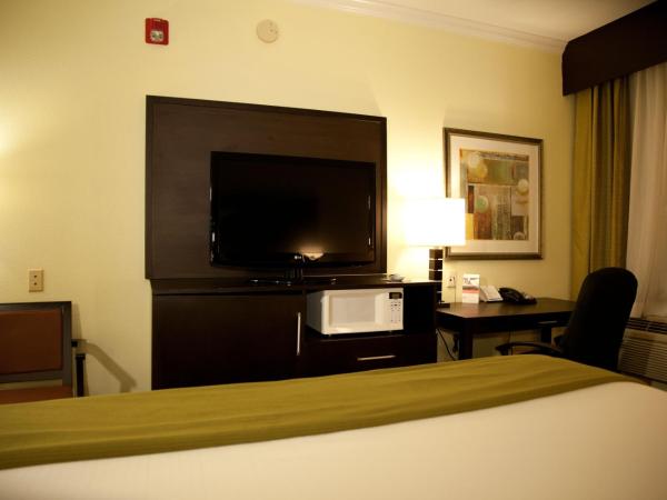 Holiday Inn Express Hotel & Suites Houston North Intercontinental, an IHG Hotel : photo 4 de la chambre chambre lit king-size