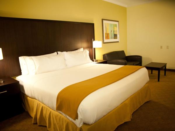Holiday Inn Express Hotel & Suites Houston North Intercontinental, an IHG Hotel : photo 2 de la chambre suite lit king-size – non-fumeurs