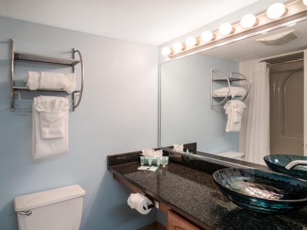 Palette Resort Myrtle Beach : photo 3 de la chambre studio lit king-size