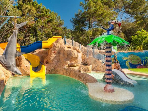 Apartaments Els Llorers : photo 2 de la chambre appartement 1 chambre - vue sur montagne (2-4 adultes)