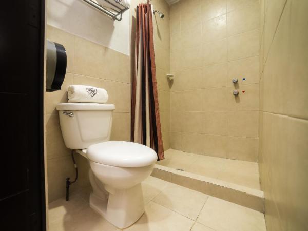 Hotel Río Puebla Centro : photo 10 de la chambre chambre triple standard