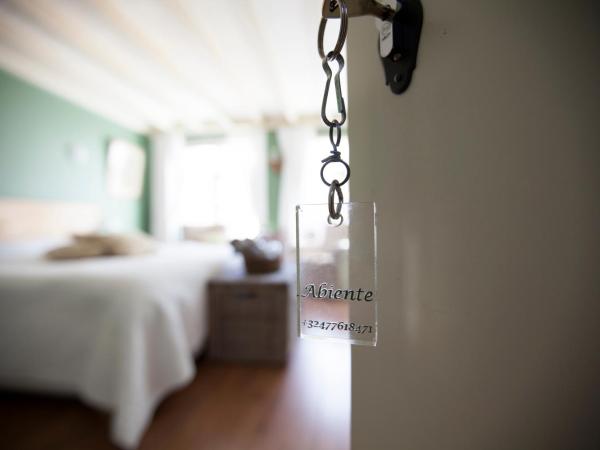 The Abiente Rooms : photo 5 de la chambre chambre double confort