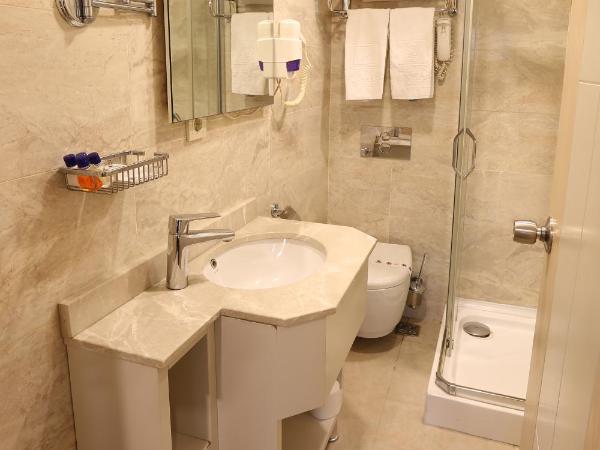 Alpinn Hotel Istanbul : photo 4 de la chambre chambre familiale avec salle de bains commune