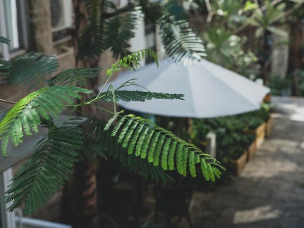 Shenzhen Shekou No.6 Garden Hotel (Sea World) : photo 6 de la chambre chambre double loft