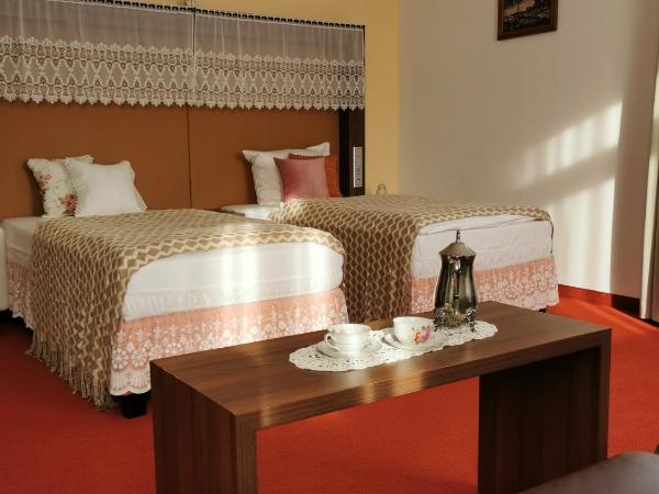 Tante ALMA's Mannheimer Hotel : photo 4 de la chambre chambre lits jumeaux standard