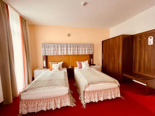 Tante ALMA's Mannheimer Hotel : photo 7 de la chambre chambre lits jumeaux standard